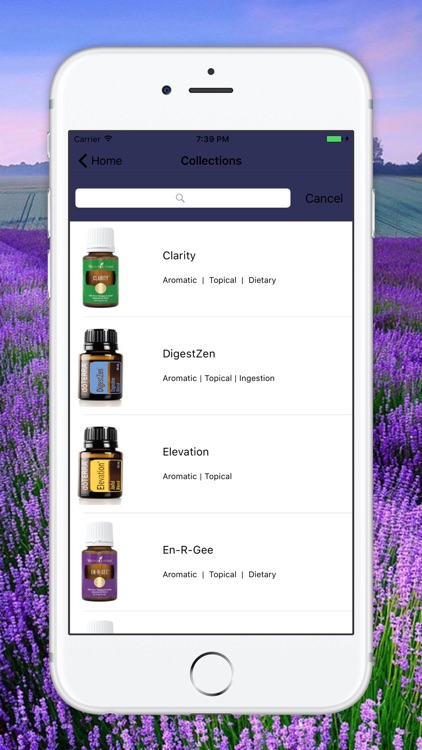 Essential Oils Guide Modern Aromatherapy for EO