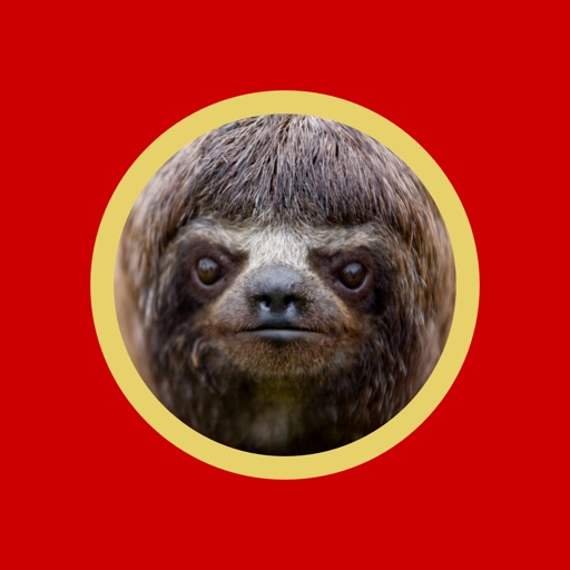 Sloth Eat Egg Please Icon
