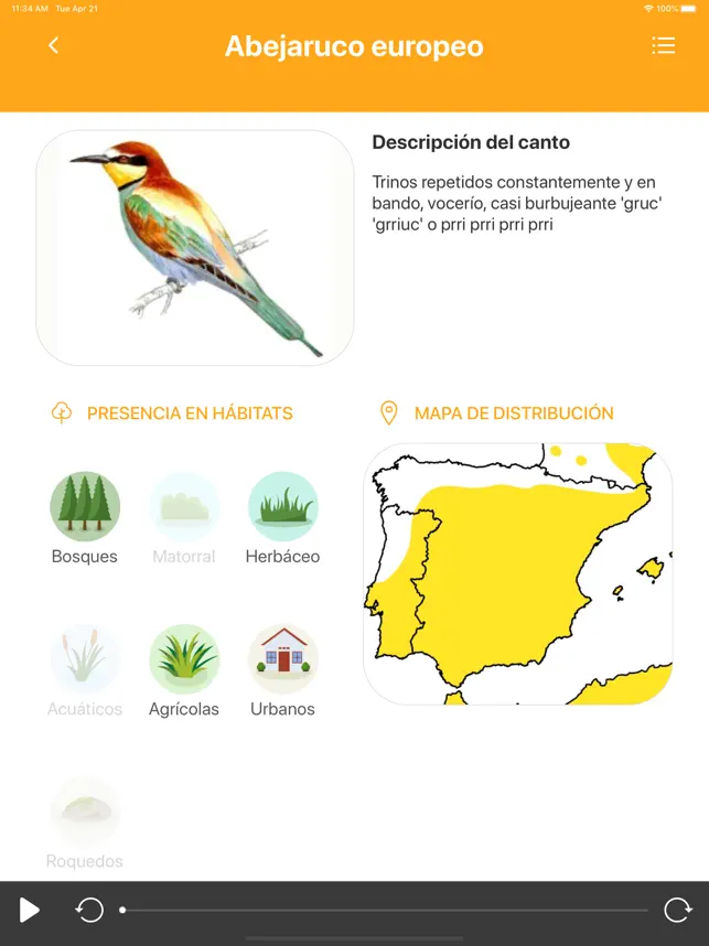 Captura 3 Avefy - SEOBirdlife iphone
