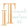 It consult+service ltd.