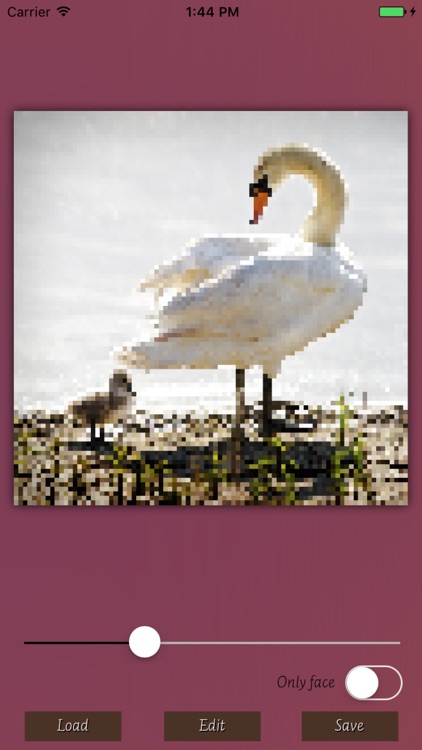 Vision Pixagram screenshot-4