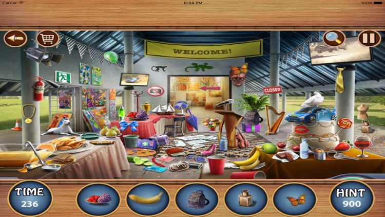 Hidden Objects : Funny Guest