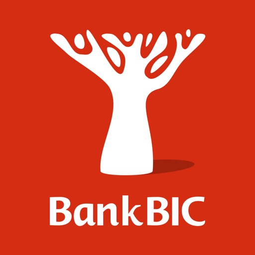 Bank BIC NA Limited