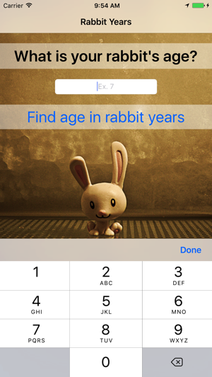 Rabbit Years - Simple Converter For Rabbit Years(圖2)-速報App