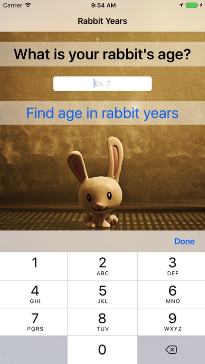 Rabbit Years - Simple Converter For Rabbit Years