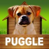 Puggle - Opoly