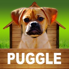Activities of Puggle - Opoly