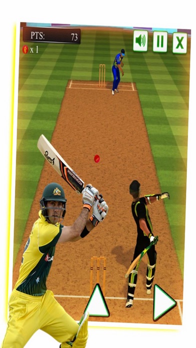 Pool Cricket Opend screenshot 3