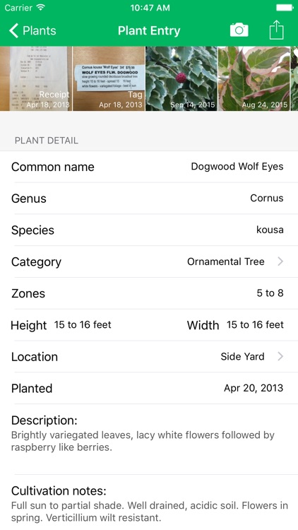 MyPlant Notebook - A Journal Just For Your Plants