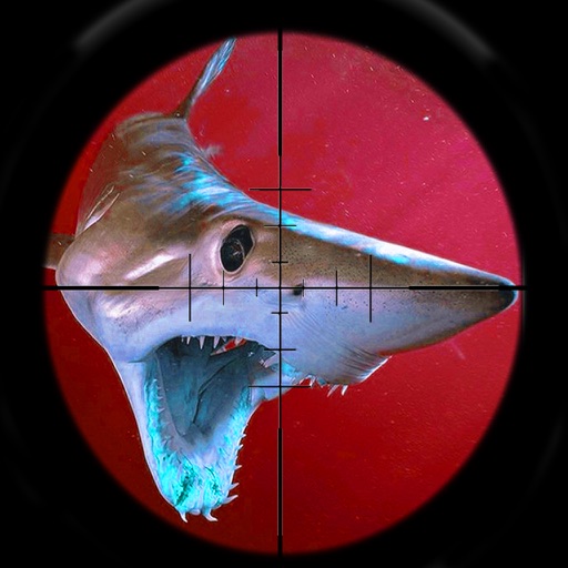 Black Shark hunting Sports Season Perfect Shooting iOS App
