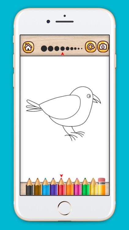 Bird coloring book drawing painting games for kids