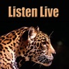 Leopards Radio