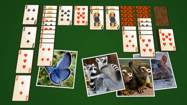 Solitaire Wild(圖1)-速報App