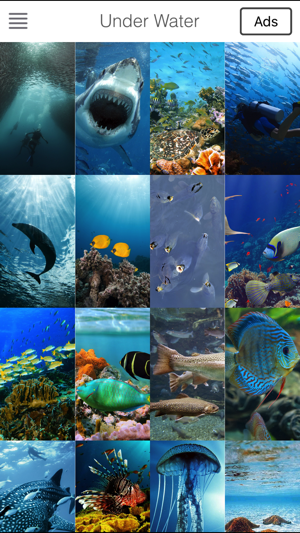 Sea Underwater Backgrounds Lock Screen &