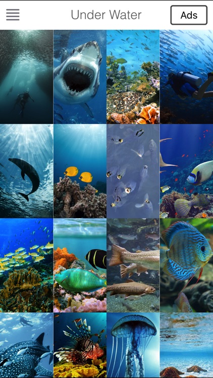Sea Underwater Backgrounds Lock Screen & Themes