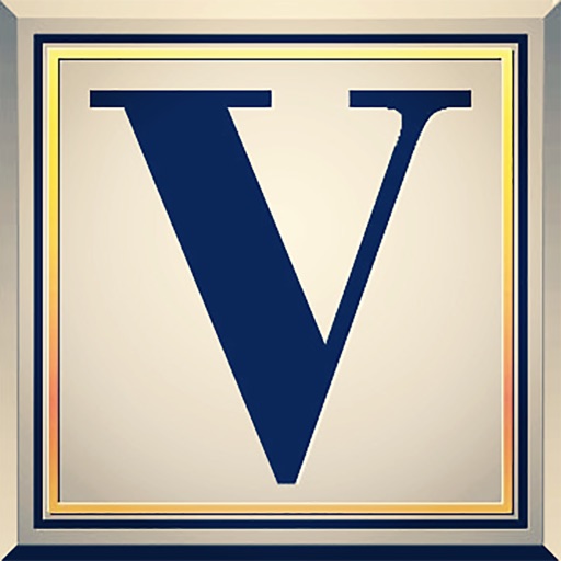 v 代驾司机 icon