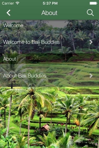 Bali Buddies screenshot 3