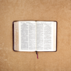 Bible Verses by Topic Preach - David Ortega Lopez
