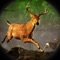 An exotic hunting simulation; this game takes you to the dark jungles and safaris where you can hunt Lions, Panthers, Elephants, Buffalos and larger array of predators