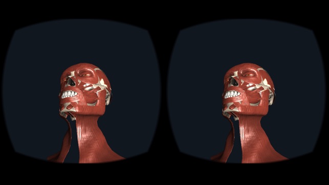 Head Anatomy - Virtual Reality Medicine(圖3)-速報App