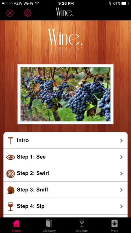 How to Taste Wine - Complete Guide to Wine Tasting