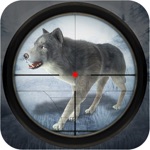 Wild Wolf Snow Hunting Safari Shooting
