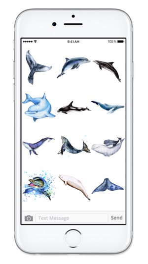 Watercolor Whales and Dolphins Ocean Sticker Pack(圖5)-速報App