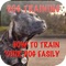 Dog Training - How To Train Your Dog Easily+ Launch Special