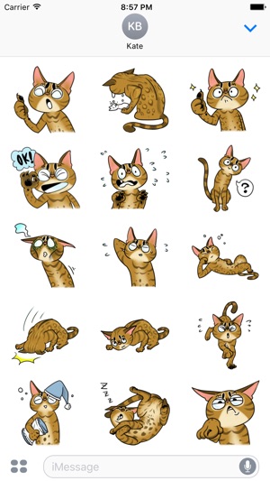 Misty the Cat. Stickers by Design73(圖2)-速報App