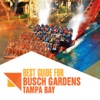 Best Guide for Busch Gardens Tampa Bay