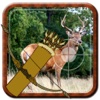 Wild Animal Hunter - Arrow Shoot