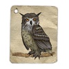Owls Sticker Pack!