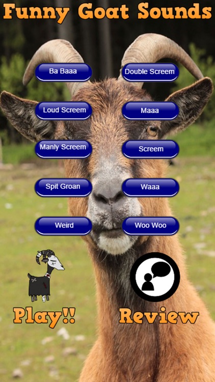 Funny Goat Sounds
