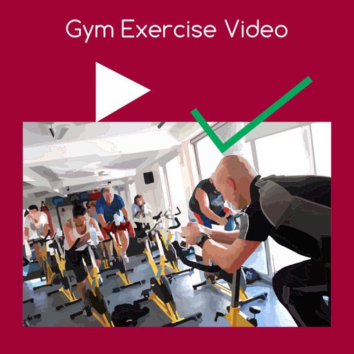 Gym exercise video