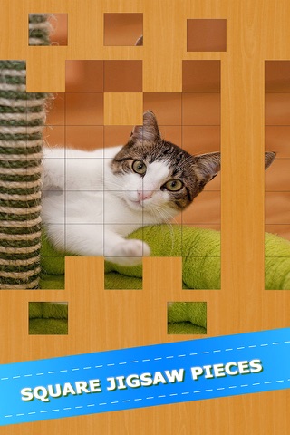 Cat Kitten Kitty Pet Jigsaw Puzzle Sliding Game screenshot 3