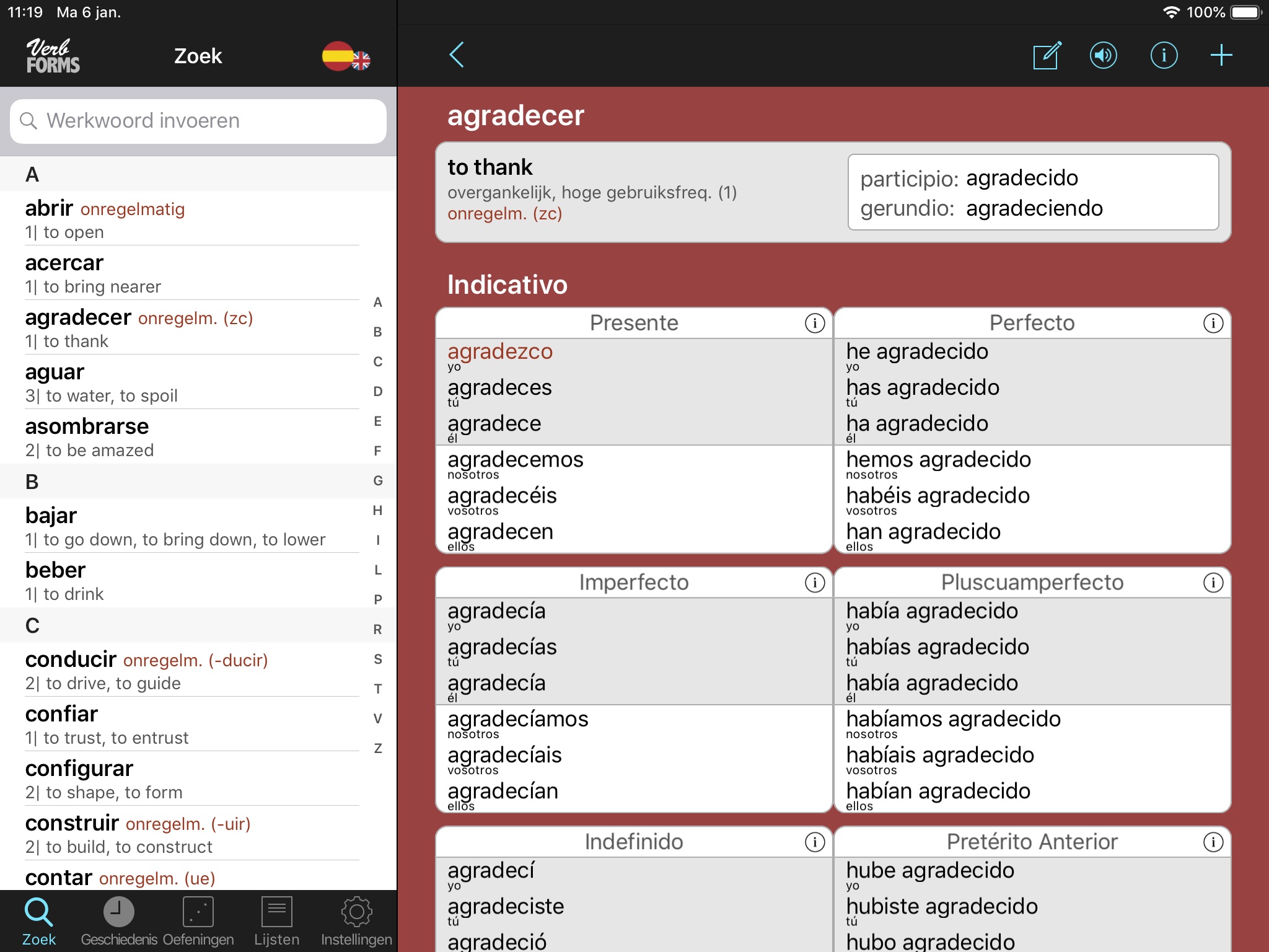 Spanish Verbs & Conjugation screenshot 3