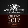 The 2017 Sheep Show