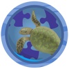 Sea Animals Jigsaw Puzzle for Kids