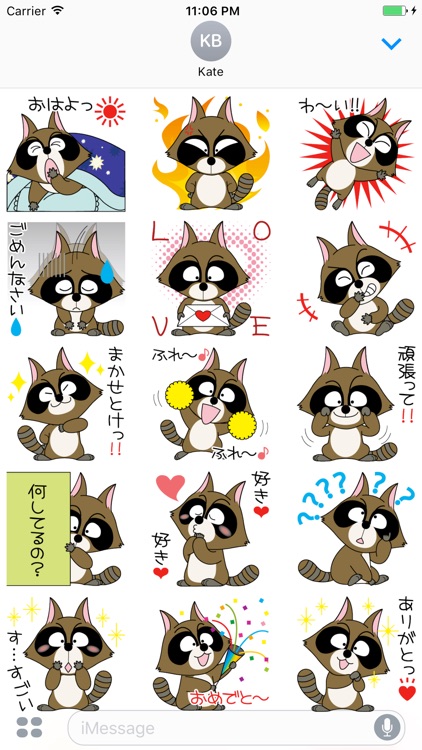 Anita The Racoon Dog Japanese Stickers