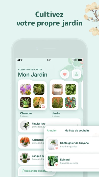 Blossom - soin des plantes Blossom - soin des plantes
