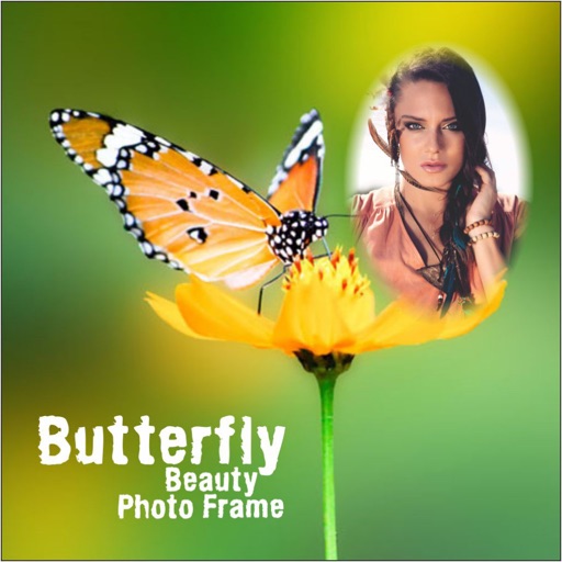 Butterfly Beauty Photo Frame 3D Wallpaper Art Edit