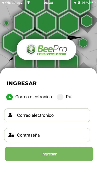 BeePass screenshot 2