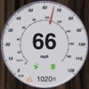 Icon GPS Speedometer and Altimeter