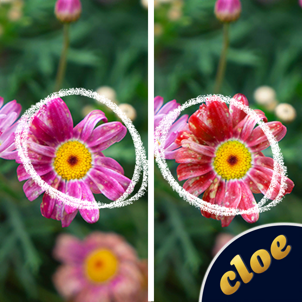 Get Differences - Find them for iOS, iPhone, iPad Aso Report