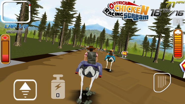 Ostrich Chicken Racing