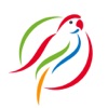 Parrot SG