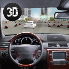 Activities of Extreme Car Racing Test: Driving School 3D