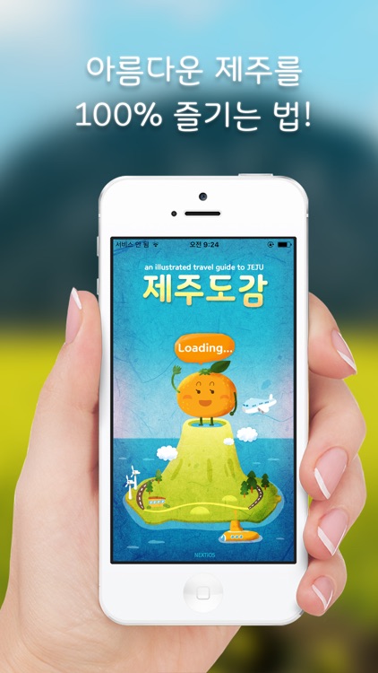 제주도감