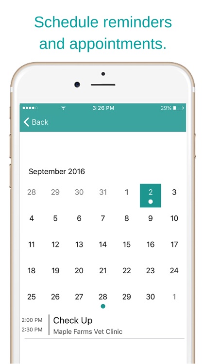 The Petter - Pet Calendar