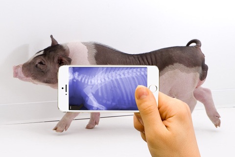 Xray Animal Scanner screenshot 3